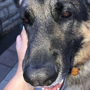 Meet your Posher, Janaina